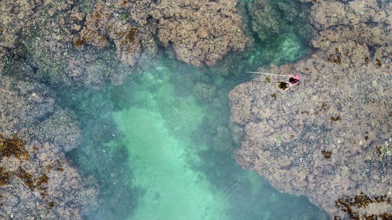 Cabana Fluir - Taipu De Fora - Peninsula De Marau Barra Grande  Eksteriør billede