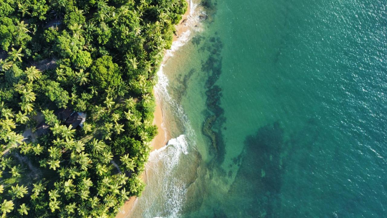 Cabana Fluir - Taipu De Fora - Peninsula De Marau Barra Grande  Eksteriør billede