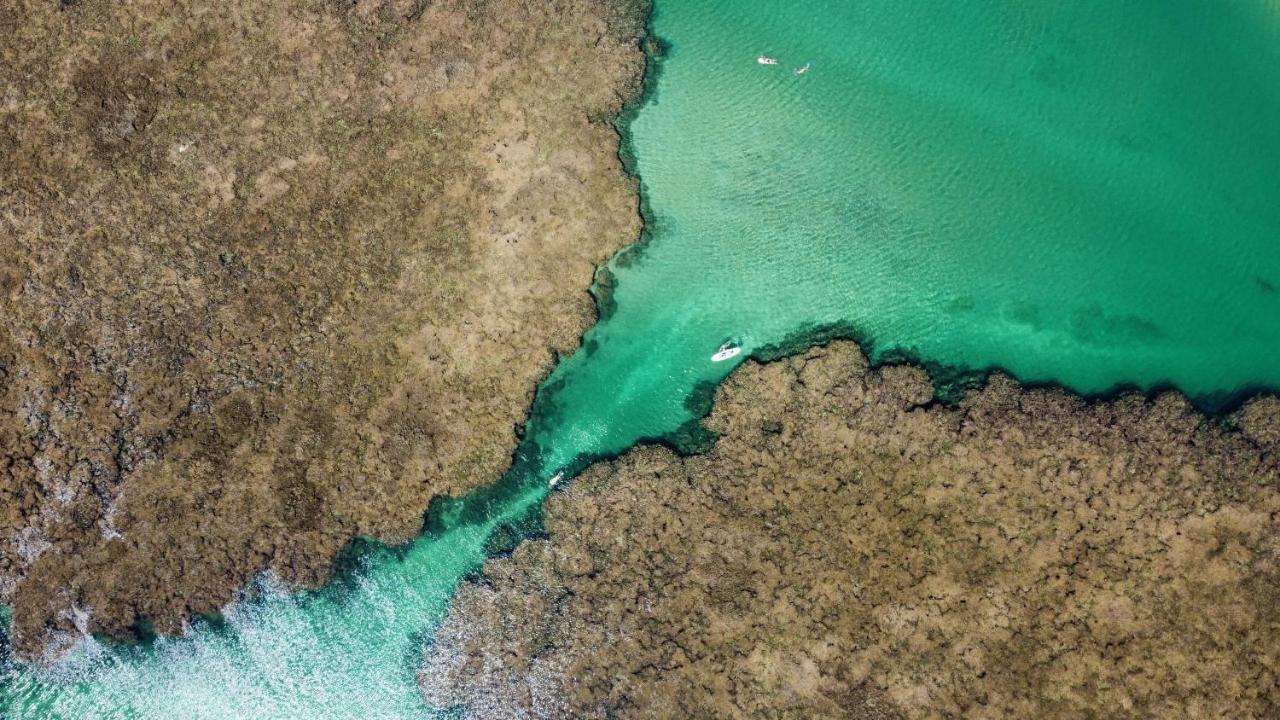 Cabana Fluir - Taipu De Fora - Peninsula De Marau Barra Grande  Eksteriør billede