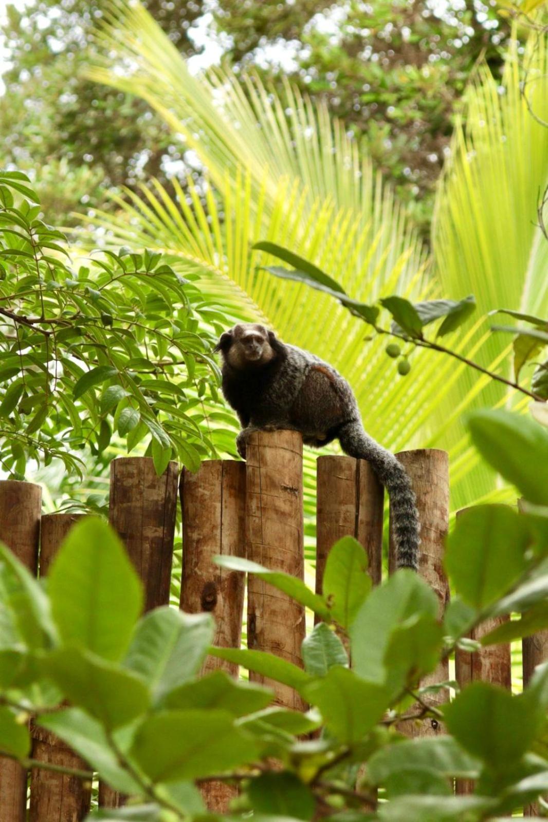 Cabana Fluir - Taipu De Fora - Peninsula De Marau Barra Grande  Eksteriør billede